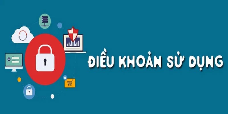 Cập nhật mới trong Điều kiện điều khoản năm 2025