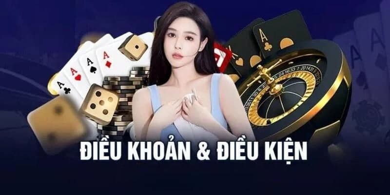 Những nội dung cần lưu ý trong Điều kiện điều khoản